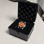 HORAE V Paddock Flare watch in black presentation box