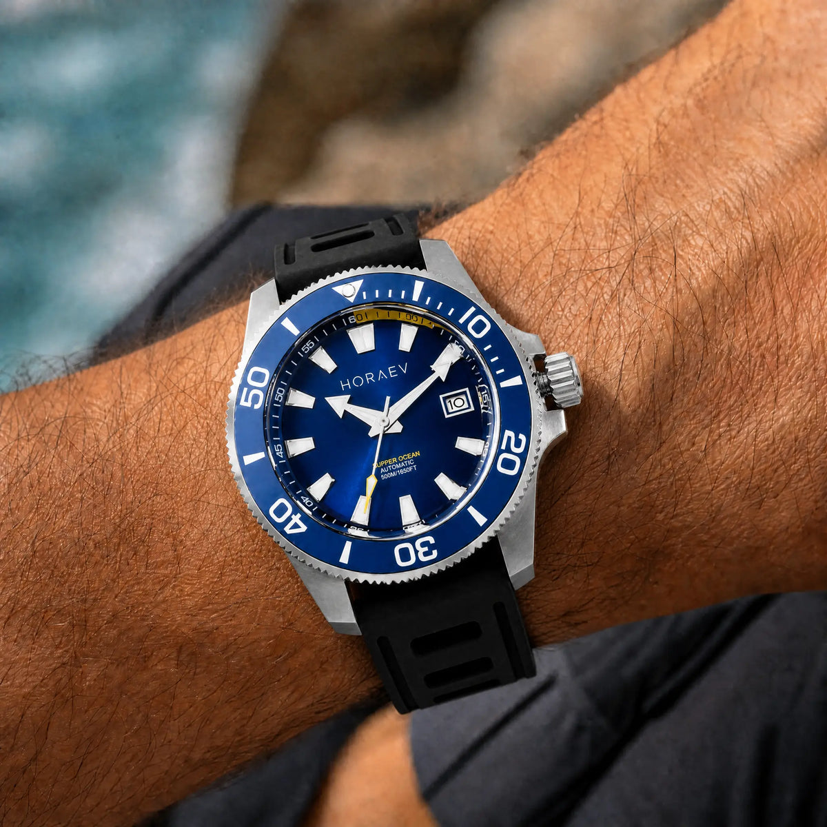 HORAE V Paddock-Pelagic